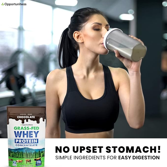 Chocolate Whey Protein Powder Concentrate