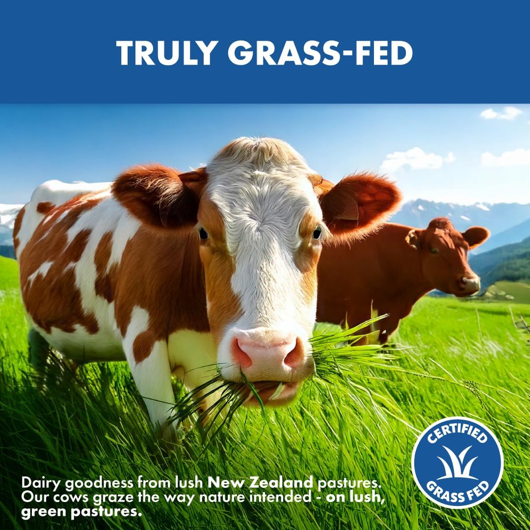Grass Fed Whey Protein Powder Concentrate