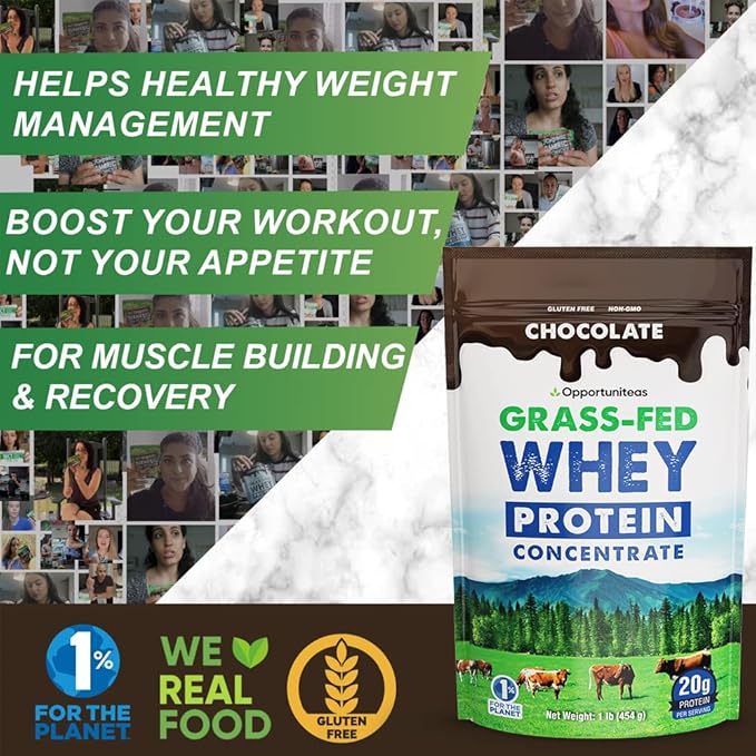 Chocolate Whey Protein Powder Concentrate