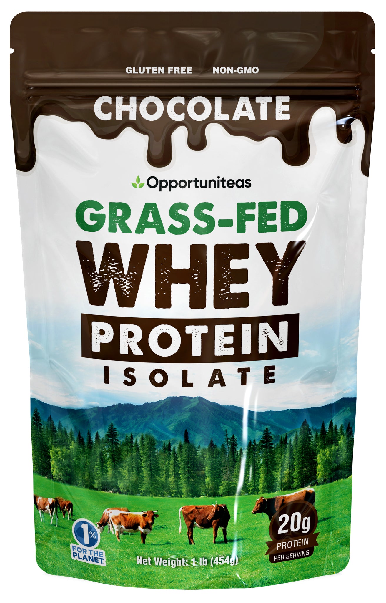 Chocolate Whey Protein Powder