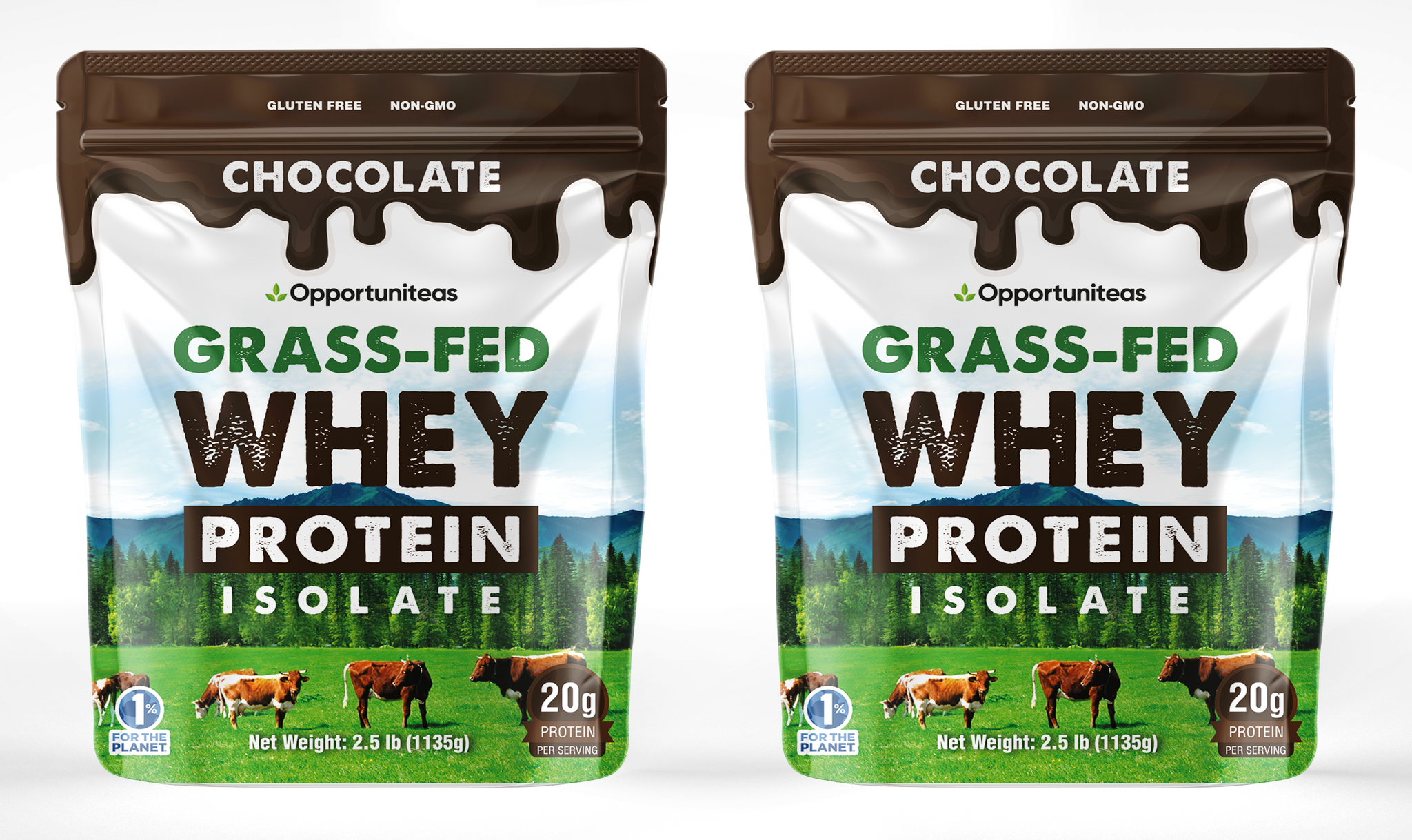 Chocolate Whey Protein Powder