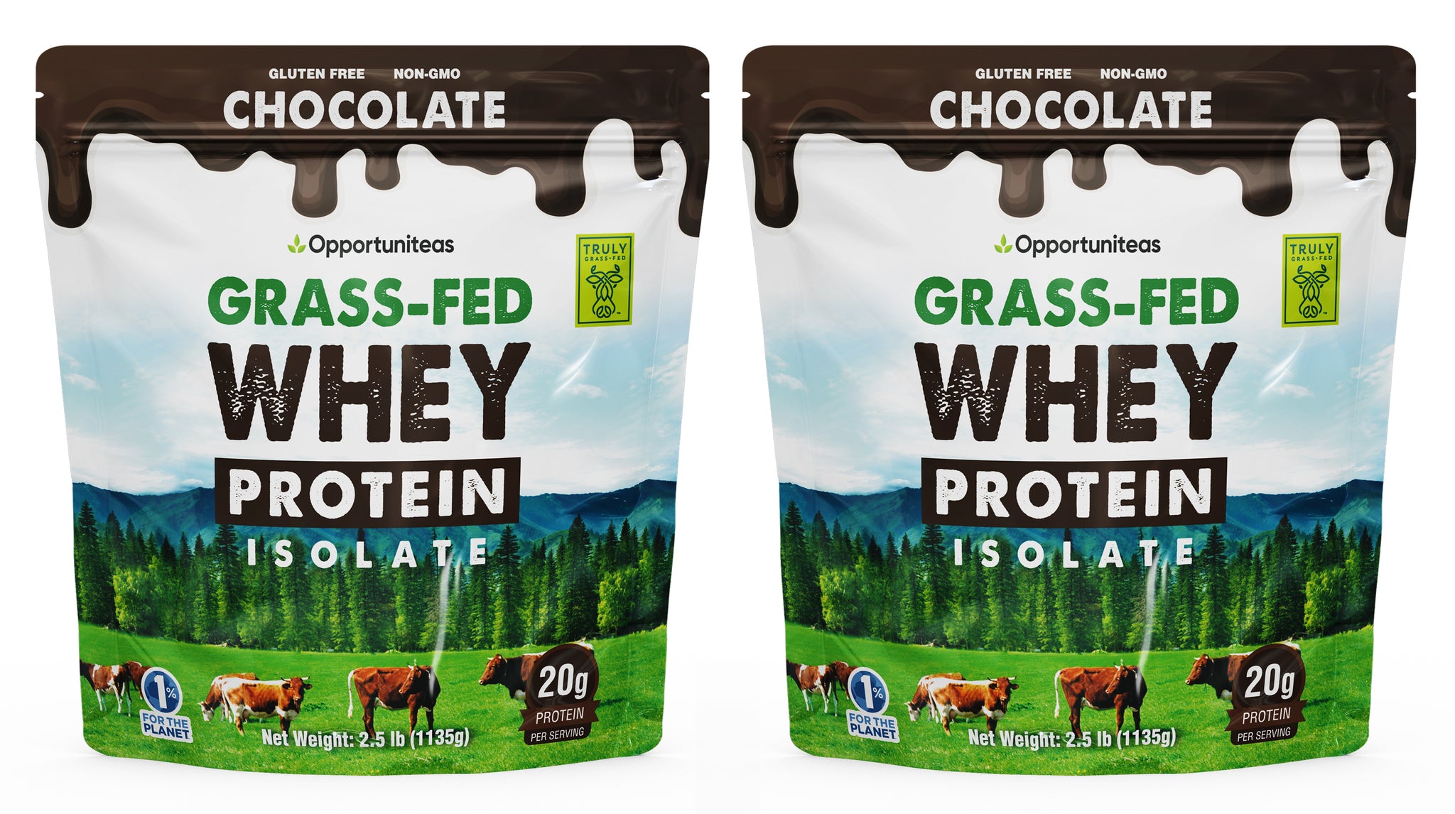 Chocolate Whey Protein Powder