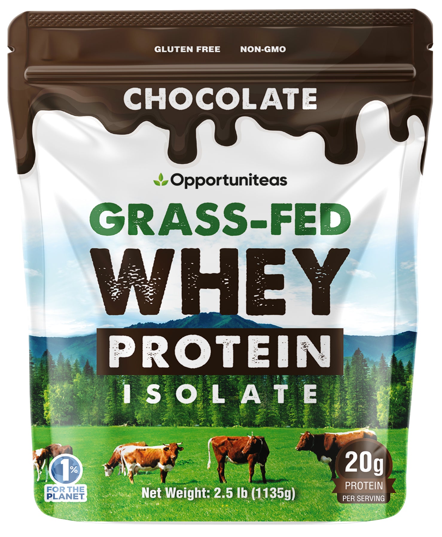 Chocolate Whey Protein Powder