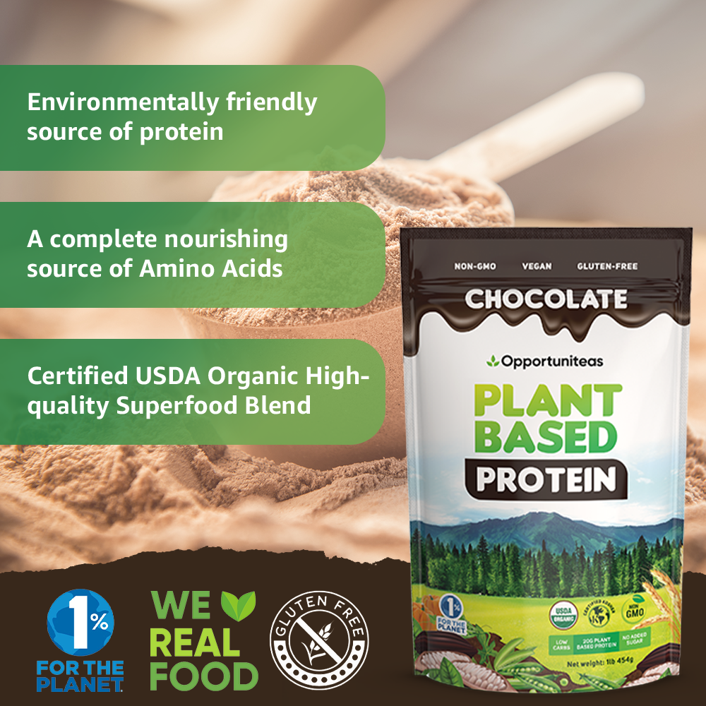 Organic Chocolate Vegan Protein Powder - 20g of Plant Based Protein