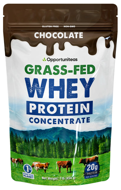 Chocolate Whey Protein Powder Concentrate