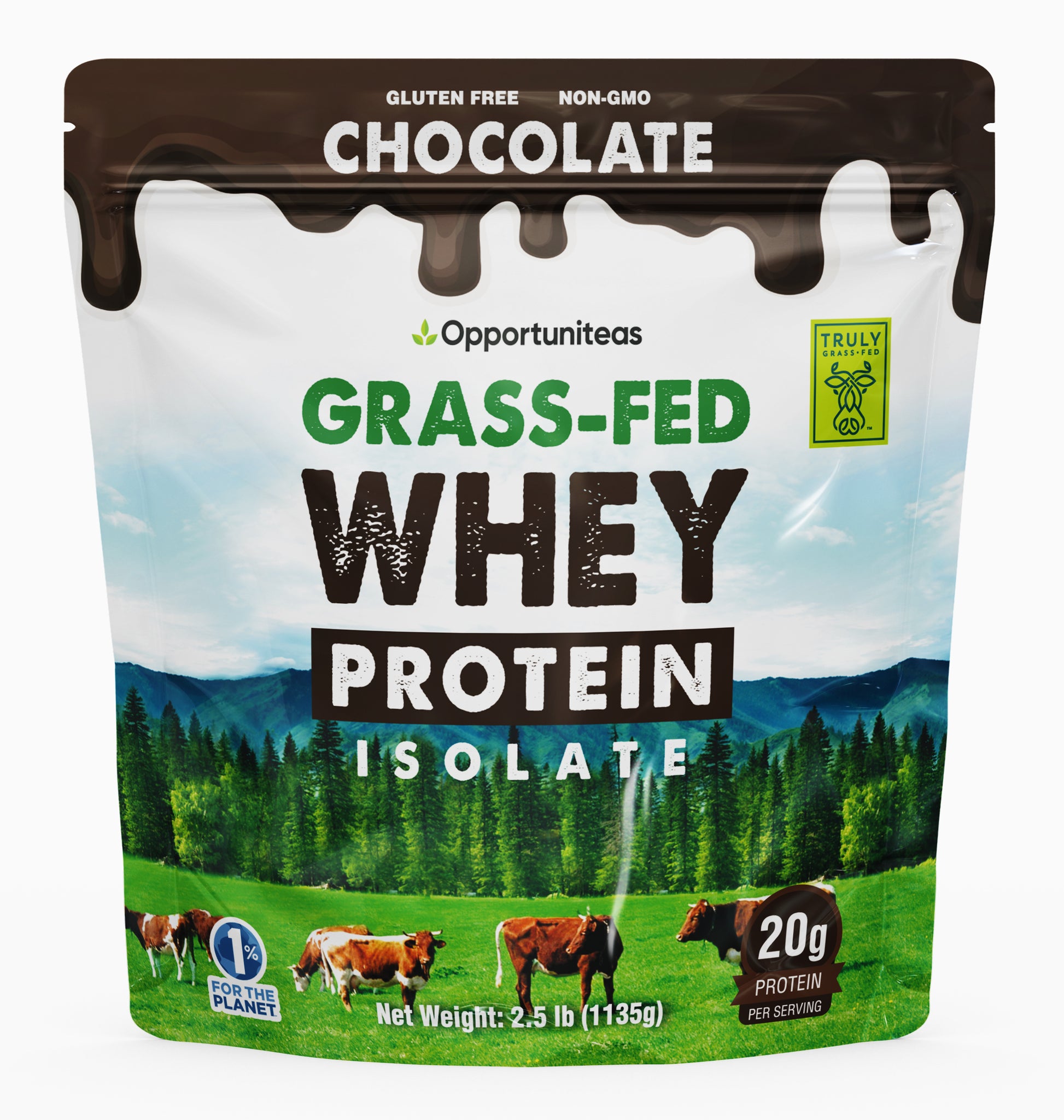 Chocolate Whey Protein Powder