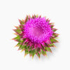 Ingredient Image
