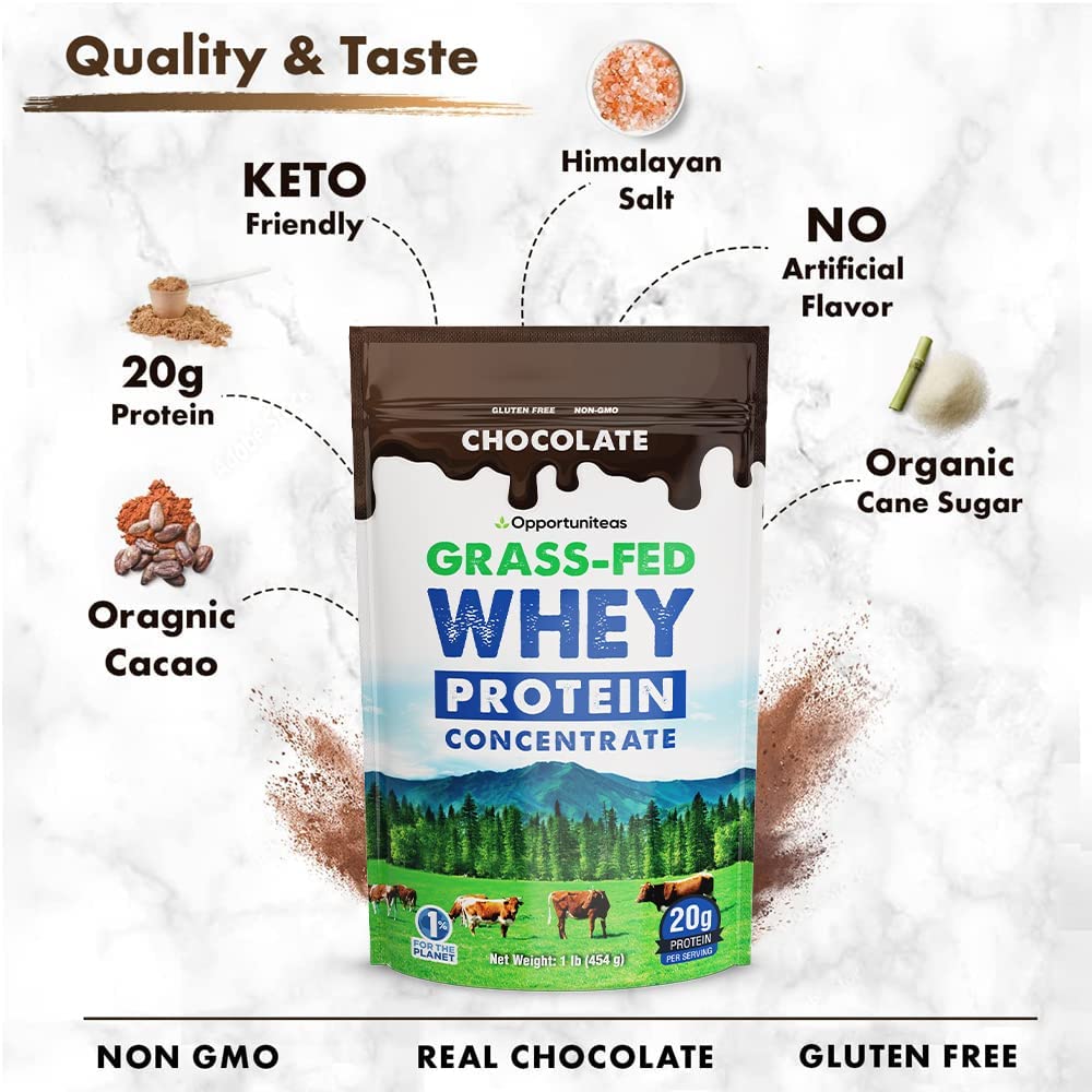 Chocolate Whey Protein Powder Concentrate