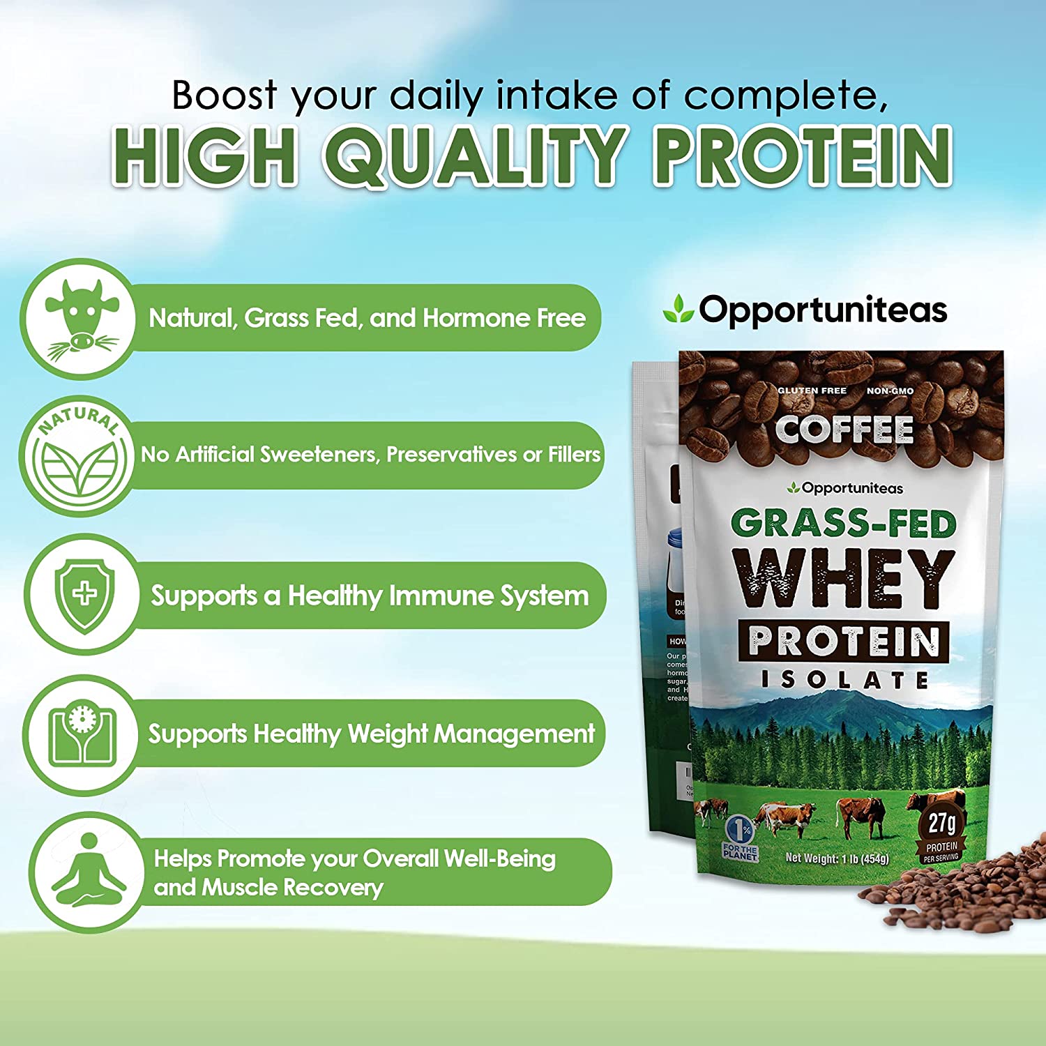 Coffee Whey Protein Isolate Powder - 5 Pound