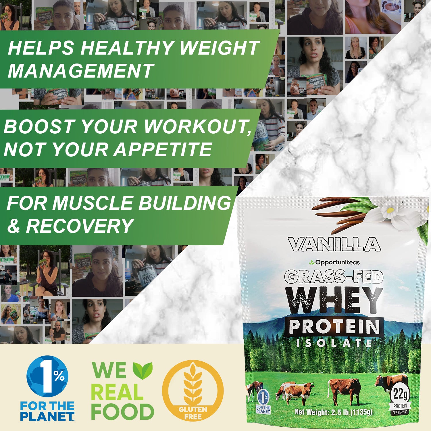 Vanilla Whey Protein Isolate Powder - 2.5lb